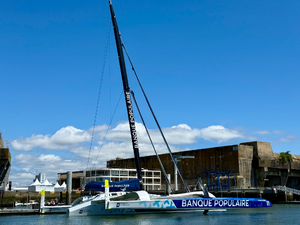 Traitement punaises de lit Lorient